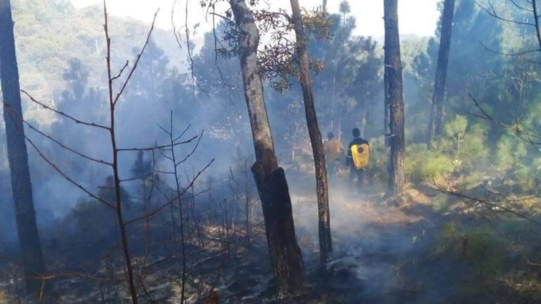 INCENDIOS FOTO ARCHIVO DE CONAFOR